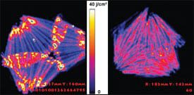 LipoControl Proffers “Breakthrough” Electronic-Mapping Device