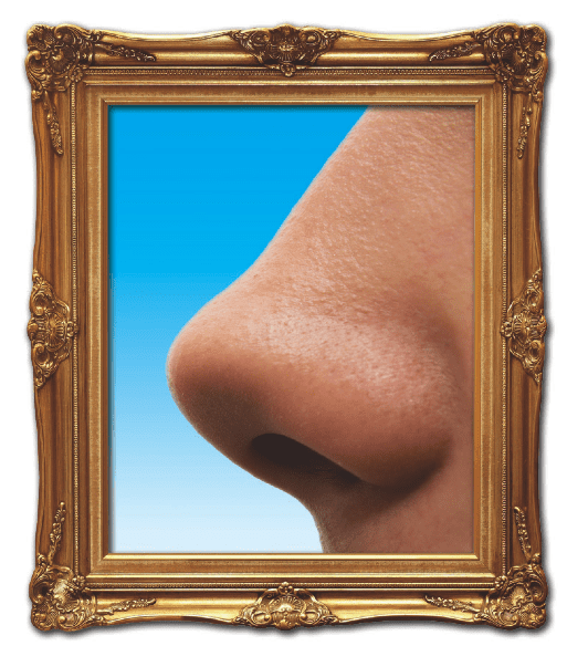 SMART PRACTICES: A Nose is  a Nose is  a Nose?