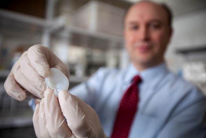 Regenerative Medicine Breakthrough: Bioengineered Ears Look, Act Like the Real Thing