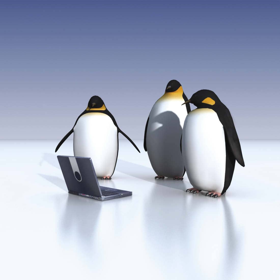 penguins laptop opt