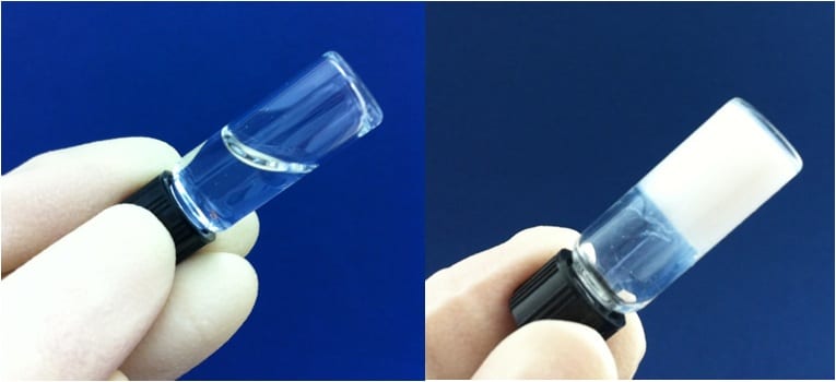 Scaffold Morphs From Liquid to Gel to Bone