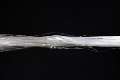 Spider Silk Implant Coating May Reduce Complications