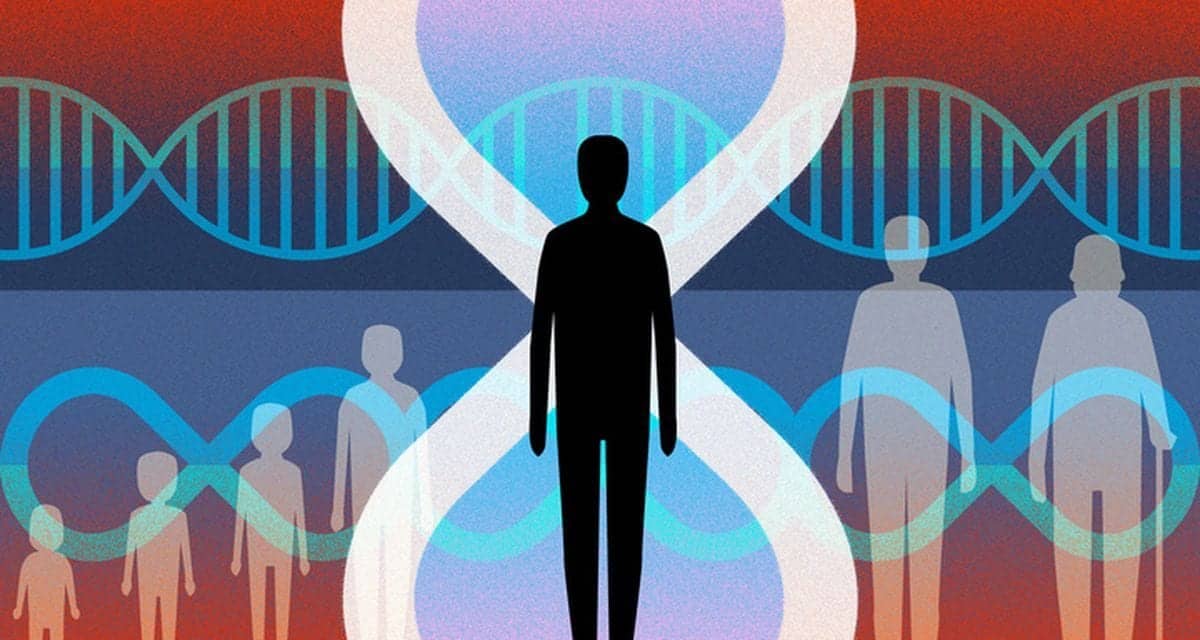 Scientists Are Waging a War Against Human Aging. But What Happens Next?