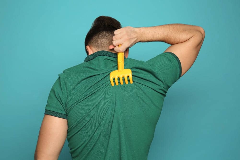 Study Scratches the Surface of How the Brain Senses an Itch