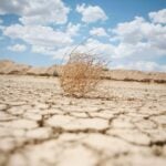 ‘Plastic Surgery Deserts’ Emerging as Demand Grows in Underserved US Regions