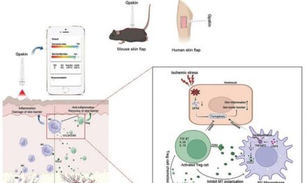 Skin Barrier Changes Precede Visible Signs of Flap Necrosis, Study Finds